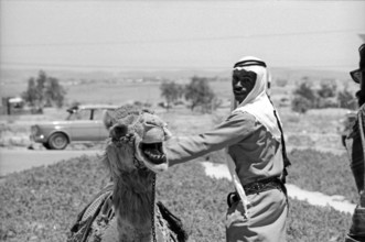Konrad Adenauer in Israel