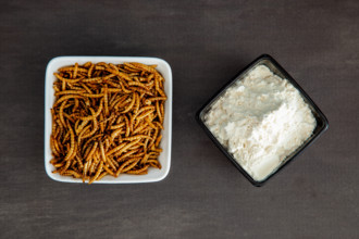 Snack insects. Mealworm larvae as food and a bowl with flour. Mealworms crustaceans tenebrio molitor Snack insects. Meal