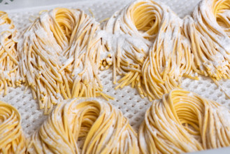 spaghetti,bündel,nudelteig,pasta,spagetti,bund,bünde,gebinde,gebündelt,pastateig,teig *** spaghetti,bundles,dough,spaghe