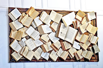 Bilderbuch Bücher Buch Bücherwand Literatur lesen informieren Schriftwerk Schrift Text Texte Lyrik Dichtung Roman Roman