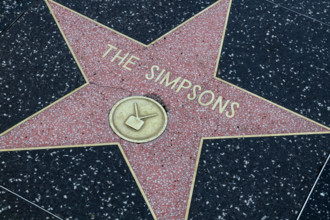 Hollywood Walk of Fame USA, United States of America, California, Los Angeles, 17.02.2020: Hollywood Boulevard, in den G
