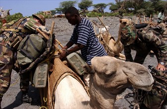 Djibouti Legion etrangere