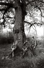 Army Parachutists France