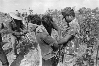 Cambodia Warfare