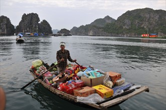 Baie d'Halong Vietnam