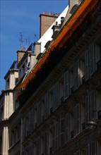 France Paris Immobilier Architecture