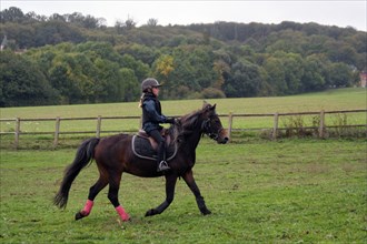 Equitation, France