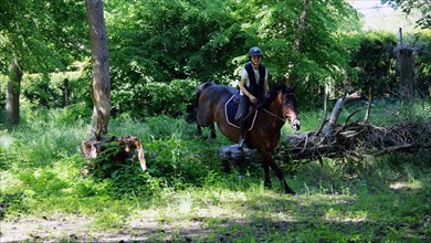 Equitation, France