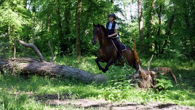 Equitation, France