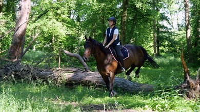 Equitation, France