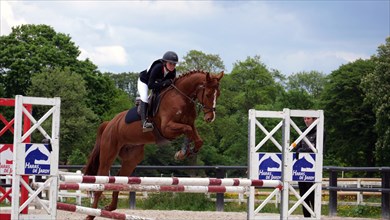 Equitation, France