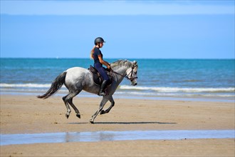 Equitation, France