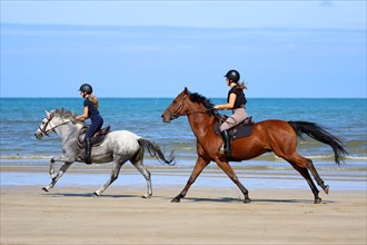 Equitation, France