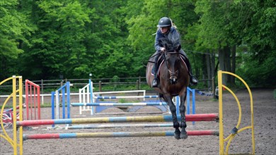 Equitation, France