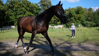 Equitation, France