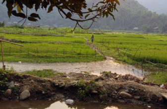 VIETNAM - BATAILLE DE DIEN BIEN PHU