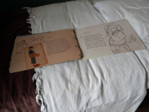 FRANCE-REGIONS-FINISTERE SUD