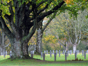 FRANCE RÉGIONS-NORMANDIE