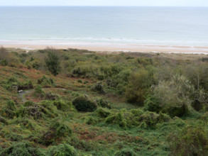 FRANCE RÉGIONS-NORMANDIE