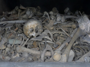 FRANCE-PREMIERE GUERRE MONDIALE-NECROPOLE