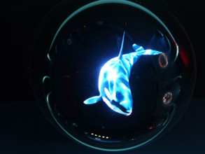 FRANCE RÉGIONS-NORMANDIE