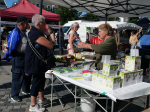 FRANCE-REGIONS-FINISTERE SUD