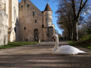 ABBAYE DE ROYAUMONT