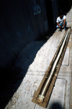 THAILANDE ANIMAUX ALBINOS