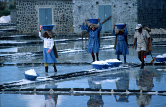 ILE MAURICE - TOURISME