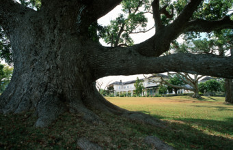 ILE MAURICE - TOURISME