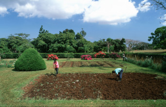 ILE MAURICE - TOURISME