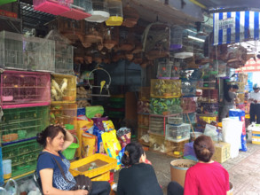 VIETNAM-SOCIETE-COMMERCE