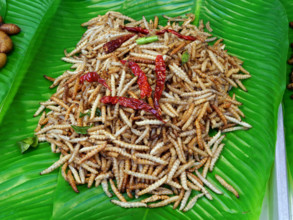 THAILANDE-SOCIETE-RESTAURATION