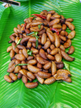 THAILANDE-SOCIETE-RESTAURATION