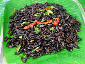 THAILANDE-SOCIETE-RESTAURATION