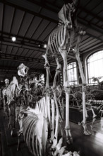 FRANCE HISTOIRE MUSEES