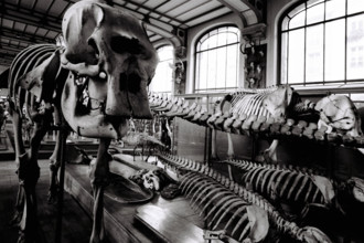 FRANCE HISTOIRE MUSEES