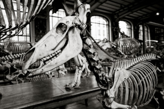 FRANCE HISTOIRE MUSEES