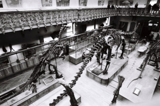 FRANCE HISTOIRE MUSEES