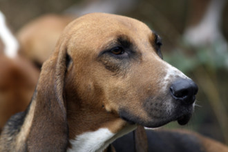 FRANCE REGIONS-VAL DE LOIRE