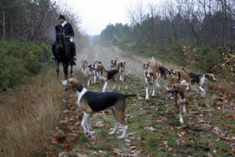FRANCE REGIONS-VAL DE LOIRE