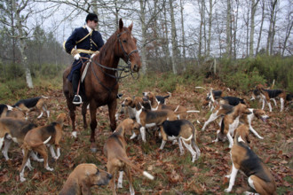 FRANCE REGIONS-VAL DE LOIRE