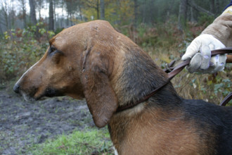 FRANCE REGIONS-VAL DE LOIRE