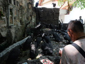 THAILANDE-BOUDDHISME