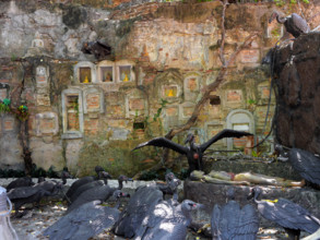 THAILANDE-BOUDDHISME