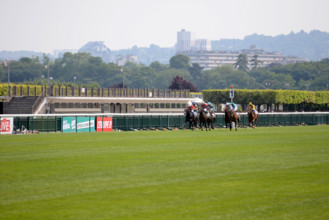 Paris, champ de courses d'Auteuil