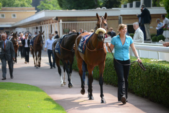 Paris, champ de courses d'Auteuil