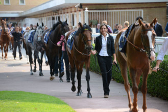 Paris, champ de courses d'Auteuil