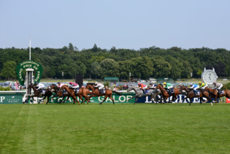 Paris, champ de courses d'Auteuil