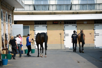 Paris, champ de courses d'Auteuil